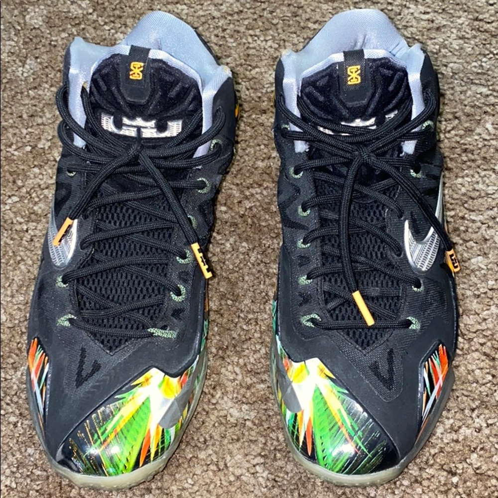 lebron nike’s